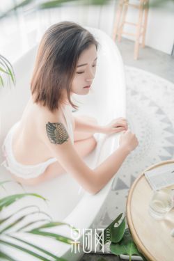 一起来看流星雨